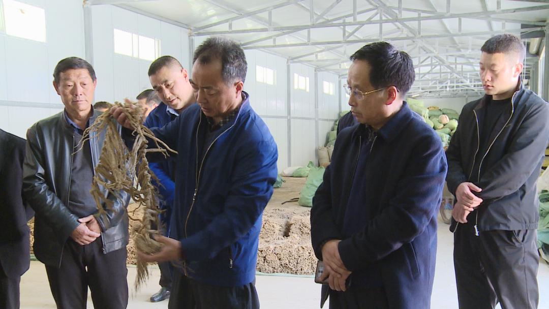 礼县城关镇未来城市蓝图发展规划揭秘