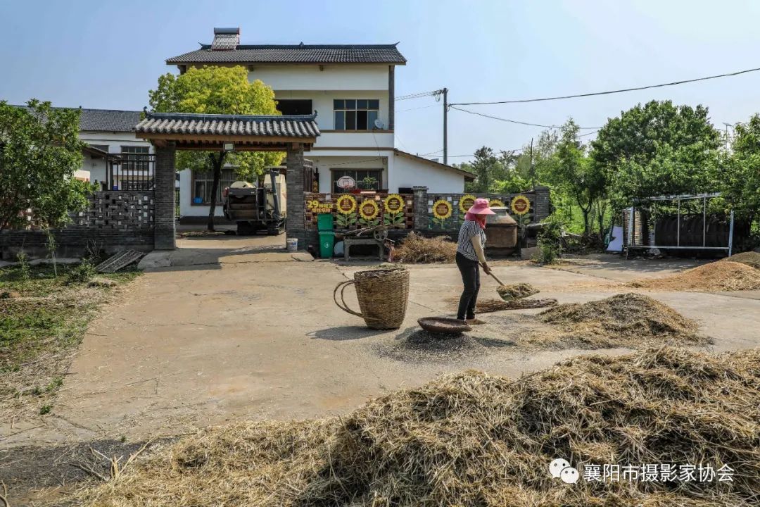 辘辘村民委员会最新动态报道