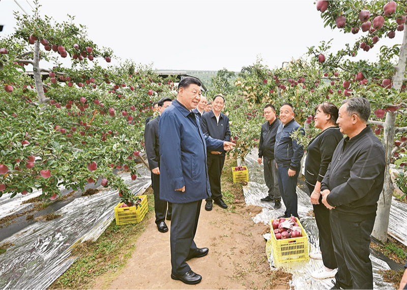 苟山村委会乡村振兴与社区发展新篇章揭晓，最新新闻动态引领未来发展方向