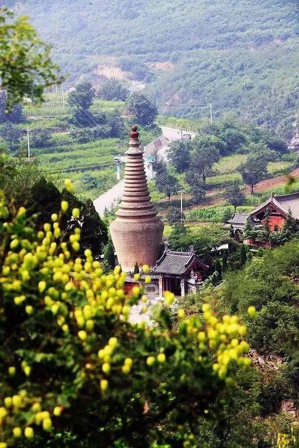 金村寺村委会最新项目启动，乡村振兴迈入新篇章