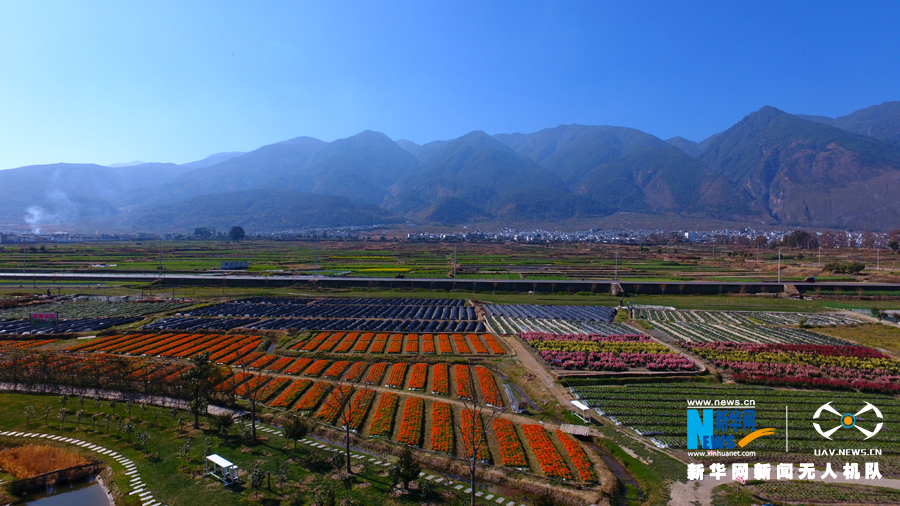 花巴村重塑乡村魅力，引领地区发展新篇章启动