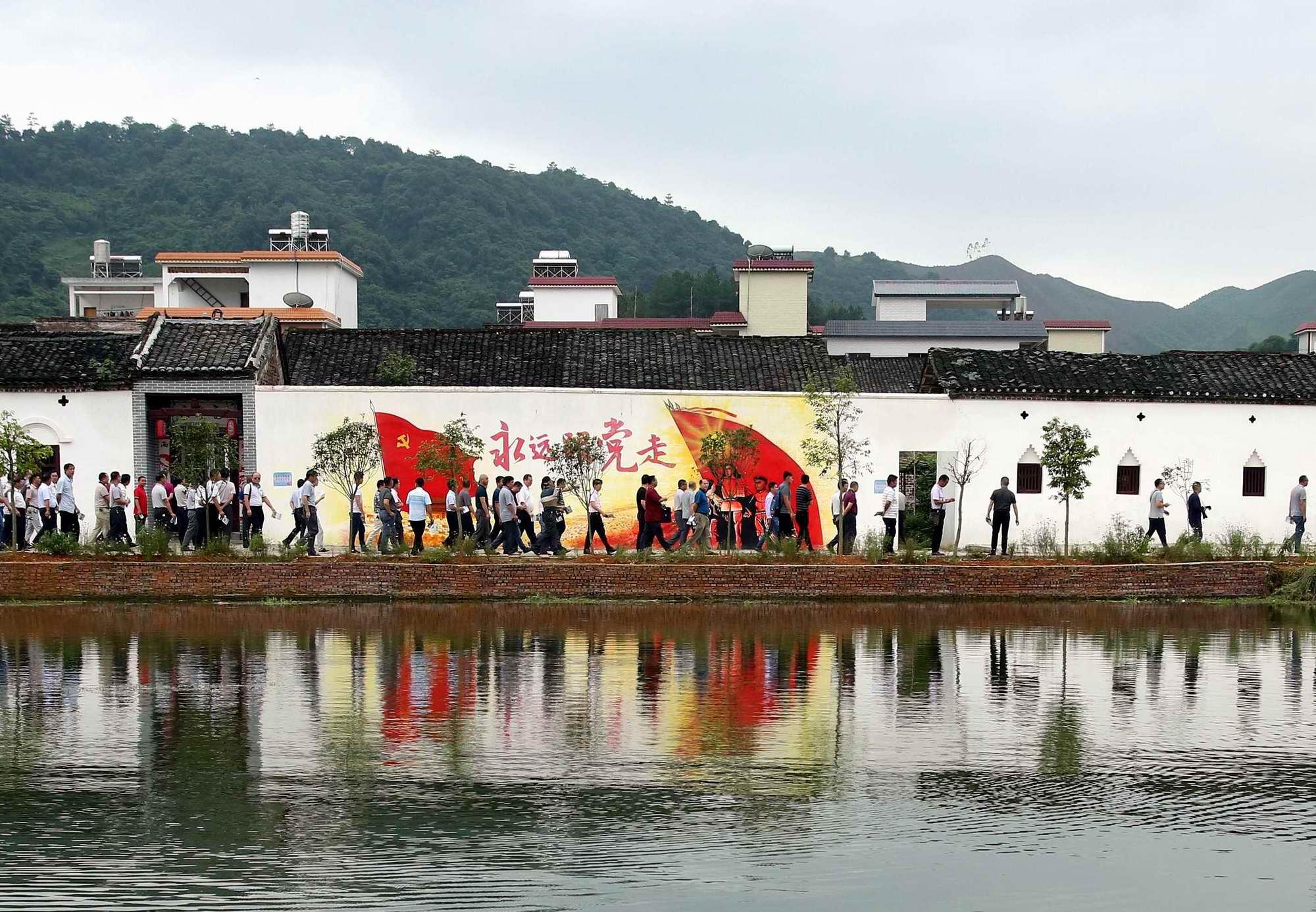 青和村委会最新动态报道