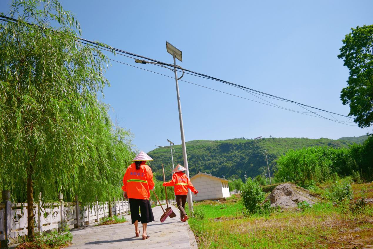 大河道乡交通新闻，迈向现代化交通步伐的新进展