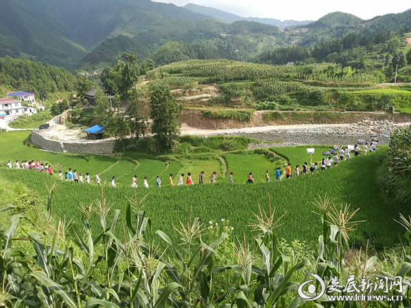 花岩溪林场绿色发展新动态，前沿动态与未来展望