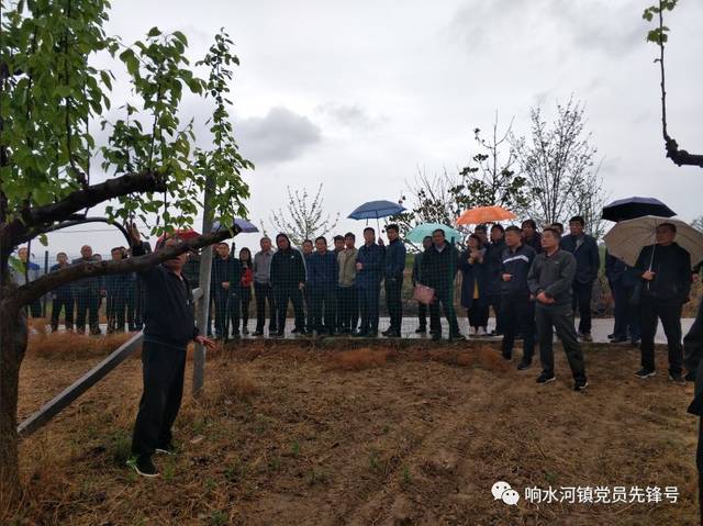 山西省临汾市浮山县响水河镇交通建设日新月异，出行更加便捷新动态