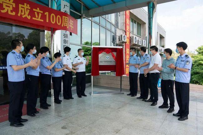 南丰村民委员会新项目助力乡村振兴，提升村民生活质量