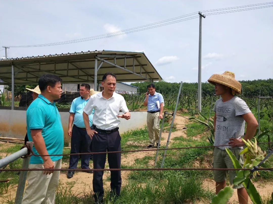 荣邦乡最新发展规划概览