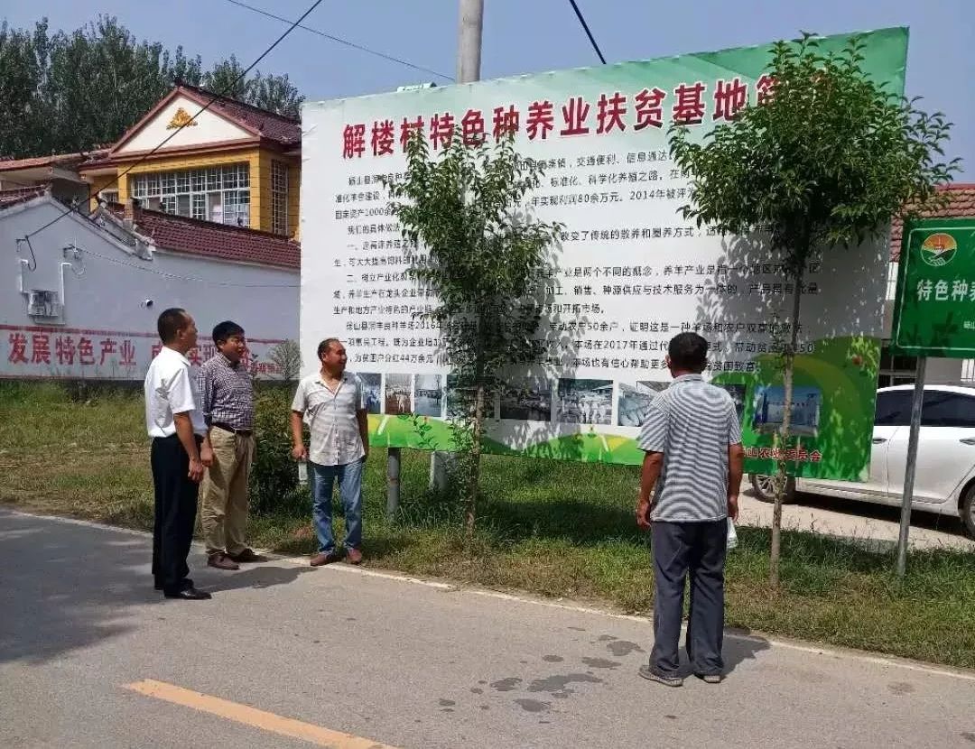 屯庄村委会启动重塑乡村项目，迈向现代化新征程