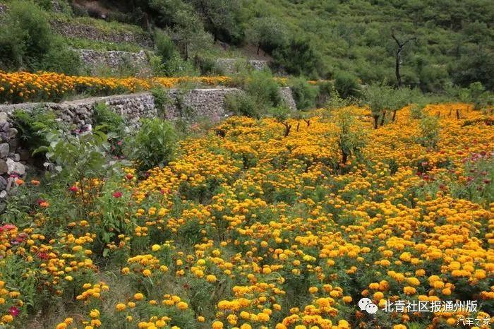 青山农场交通新动态，发展带动繁荣，交通新闻引领未来