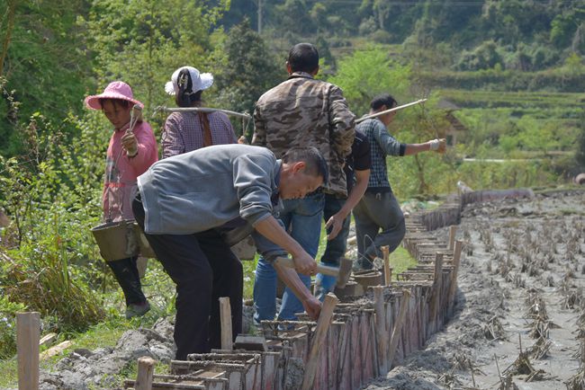 龙洞村新任领导团队，引领乡村发展的核心力量