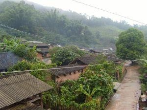 帕曲通村最新动态，发展与变迁报道