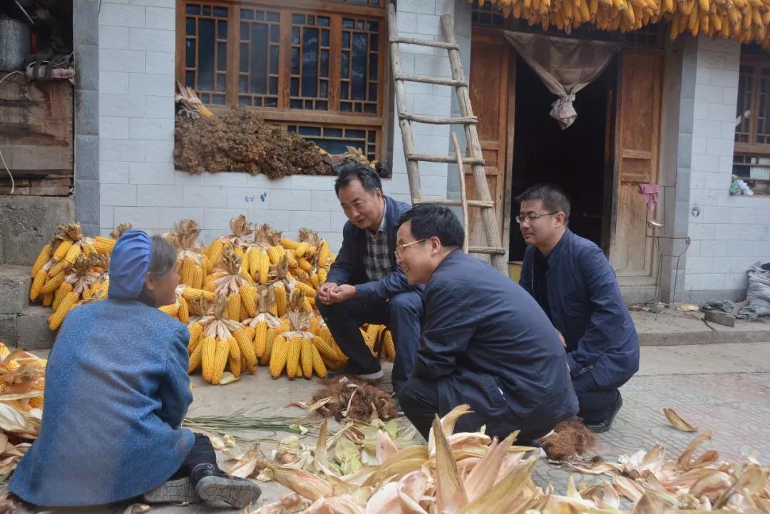 罗坝乡未来蓝图，最新发展规划引领乡村新面貌