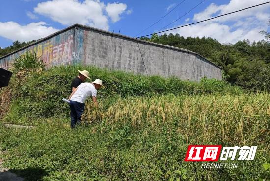 谢家垭乡新领导引领开启发展新篇章