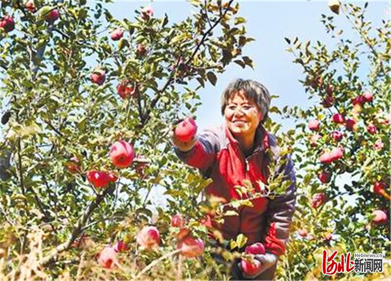 浆水镇未来繁荣蓝图，最新发展规划揭秘